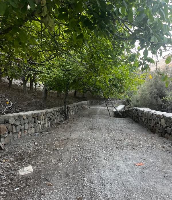 روستای «سریزان»  نگین سبز در دامان بحر آسمان